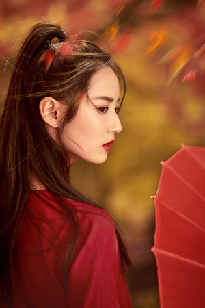 儿子小马拉大车视频大全